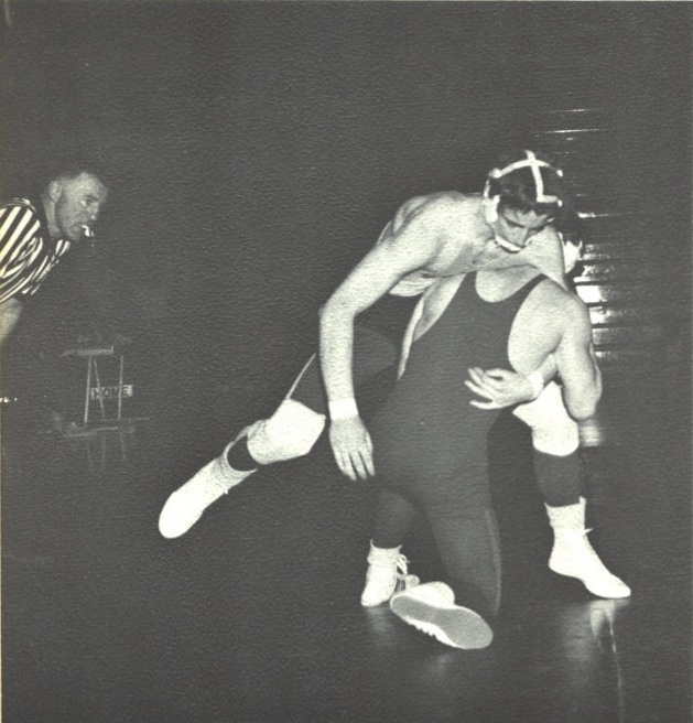 Randy Whyle